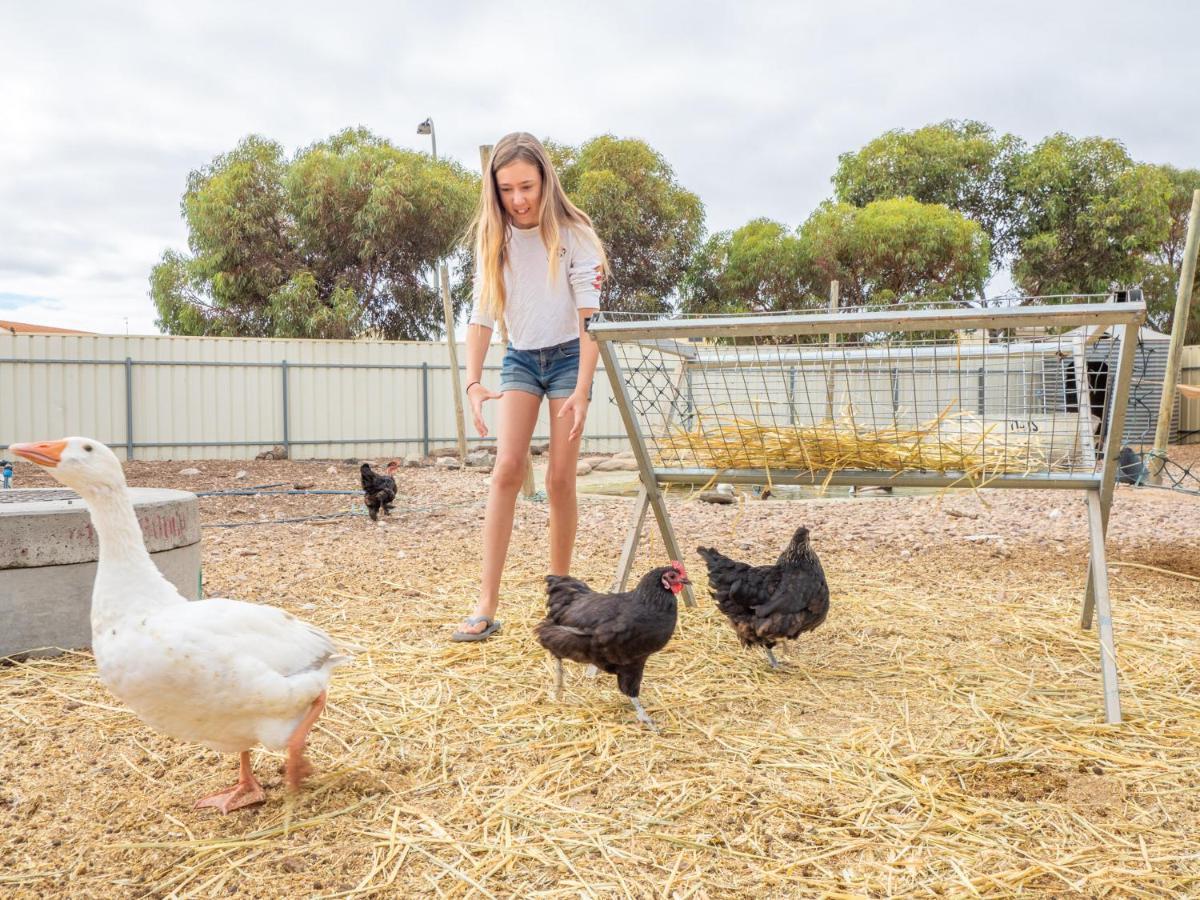 Wallaroo Holiday Park エクステリア 写真