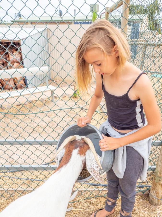 Wallaroo Holiday Park エクステリア 写真
